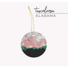 Tuscaloosa Alabama city skyline with vintage Tuscaloosa map - City Map Skyline