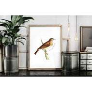 Vermont state bird | Hermit Thrush - 5x7 Unframed Print - State Bird