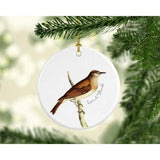 Vermont state bird | Hermit Thrush - Ornament - State Bird