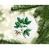 Vermont state tree | Sugar Maple - Ornament - State Tree