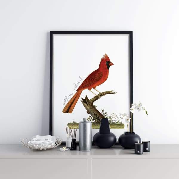 Virginia state bird | Cardinal - 5x7 Unframed Print - State Bird
