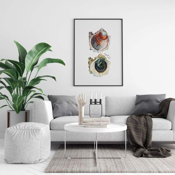 Virginia state shell | Oyster - 5x7 Unframed Print - State Animal