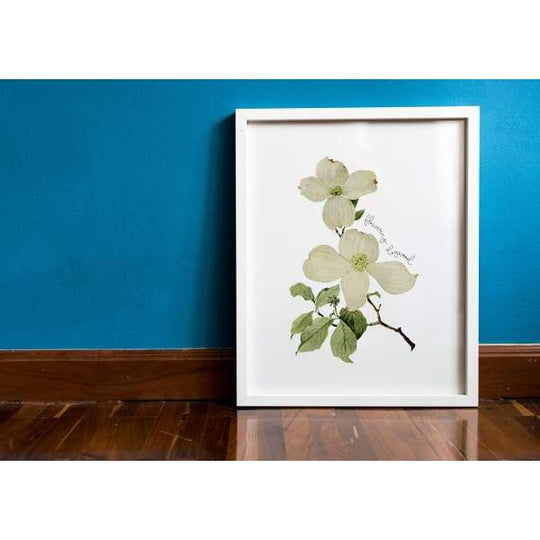 Virginia state tree | Flowering Dogwood - 5x7 Unframed Print - State Tree