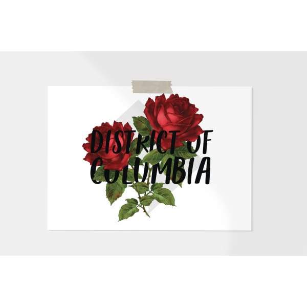 Washington DC official flower | Rose - 5x7 Unframed Print - State Flower