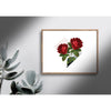 Washington DC Red Rose | State Flower Series - State Flower