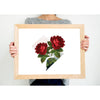 Washington DC Red Rose | State Flower Series - 5x7 Unframed Print - State Flower
