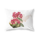 West Virginia Rhododendron | State Flower Series - State Flower