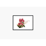 West Virginia Rhododendron | State Flower Series - State Flower