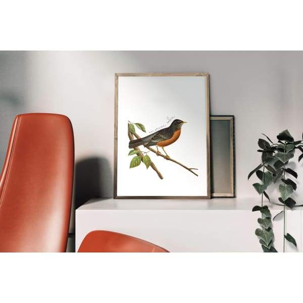 Wisconsin state bird | American Robin - 5x7 Unframed Print - State Bird