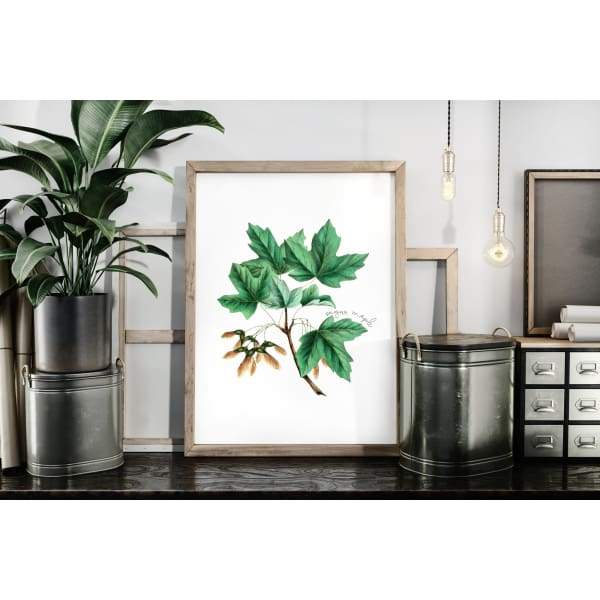 New Hampshire state tree | White Birch | wanderlust gifts and home decor