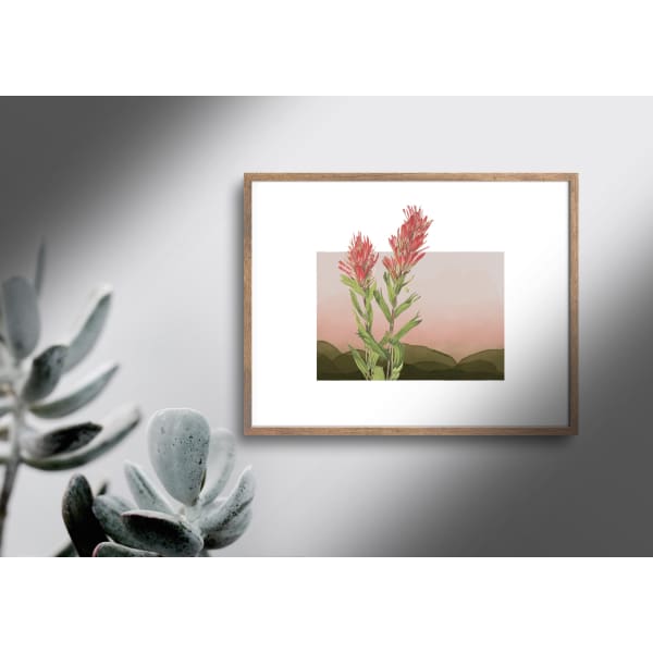 Wyoming Indian Paintbrush | State Flower Series - 5x7 Unframed Print - State Flower